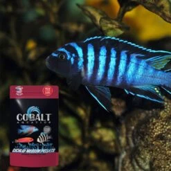 Cobalt Aquatics Cichlid Medium Pellet Fish Food 10 Cobalt Aquatics Cichlid Medium Pellet Fish Food -Fish Products 765934 PT3. AC SS1800 V1676321729
