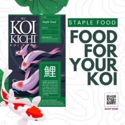 IKU KOI KICHI Staple Koi Fish Food -Fish Products 766174 PT3. AC SS1800 V1676384771