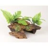 Marina Naturals Malaysian Driftwood With Plants Fish Ornaments, Medium -Fish Products 792478 MAIN. AC SS1800 V1689344986