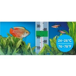 Fluval P10 Pre-Set Aquarium Fish Heater 11 Fluval P10 Pre-Set Aquarium Fish Heater -Fish Products 792982 PT4. AC SS1800 V1689345042