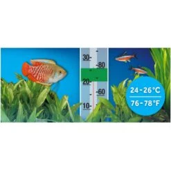 Fluval P25 Pre-Set Aquarium Fish Heater -Fish Products 792998 PT4. AC SS1800 V1689345567