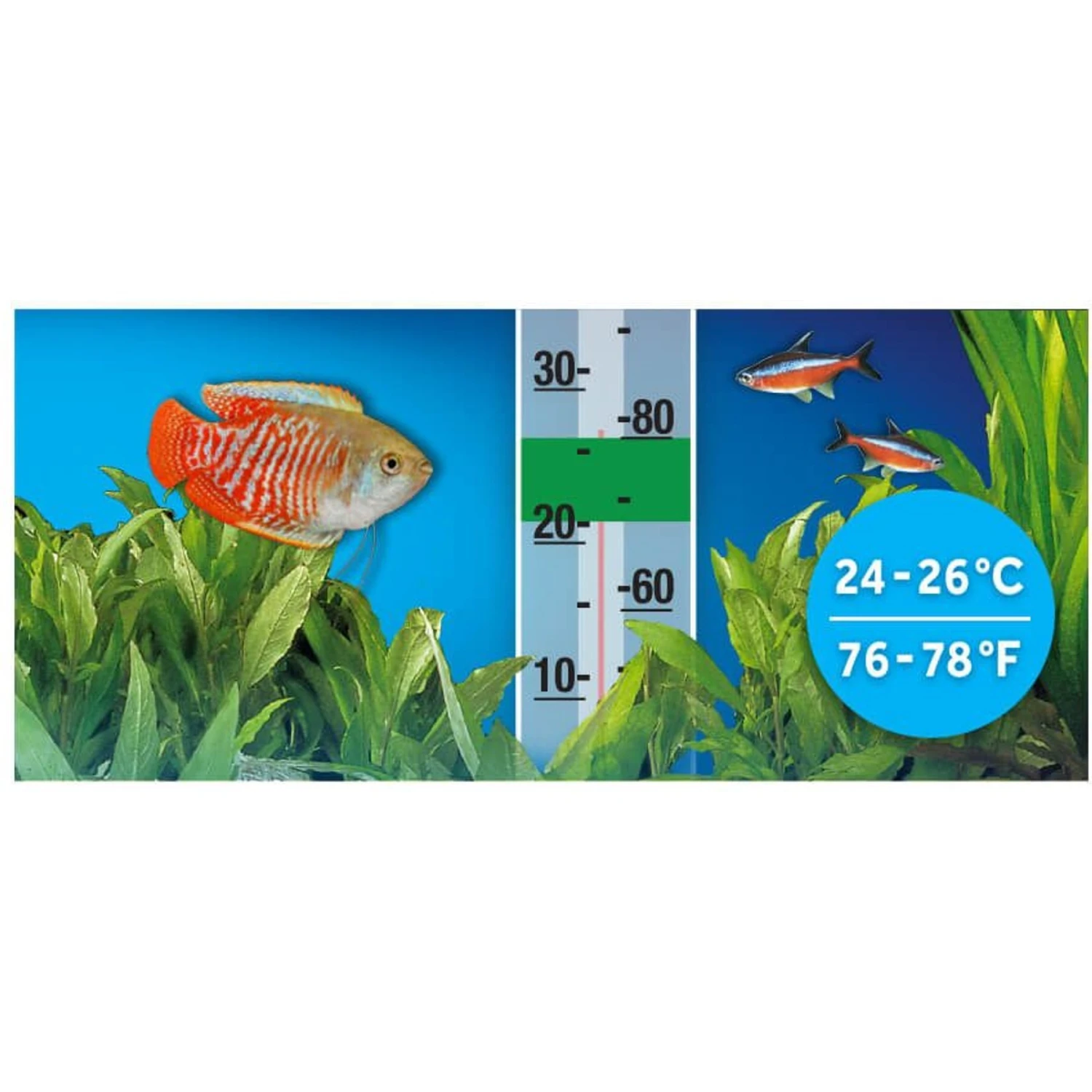 Fluval P50 Pre-Set Aquarium Fish Heater 7 Fluval P50 Pre-Set Aquarium Fish Heater - Image 5
