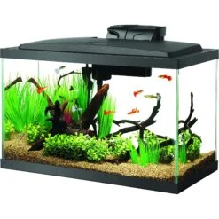 Aqueon Forge Metal Aquarium Stand, Black & Brown & Aqueon LED Fish Aquarium Starter Kit, 10-gal 17 Aqueon Forge Metal Aquarium Stand, Black & Brown & Aqueon LED Fish Aquarium Starter Kit, 10-gal -Fish Products 811494 PT6. AC SS1800 V1679069092