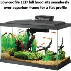 Aqueon Forge Metal Aquarium Stand, Black & Brown & Aqueon LED Fish Aquarium Starter Kit, 10-gal 19 Aqueon Forge Metal Aquarium Stand, Black & Brown & Aqueon LED Fish Aquarium Starter Kit, 10-gal -Fish Products 811494 PT8. AC SS1800 V1679069096