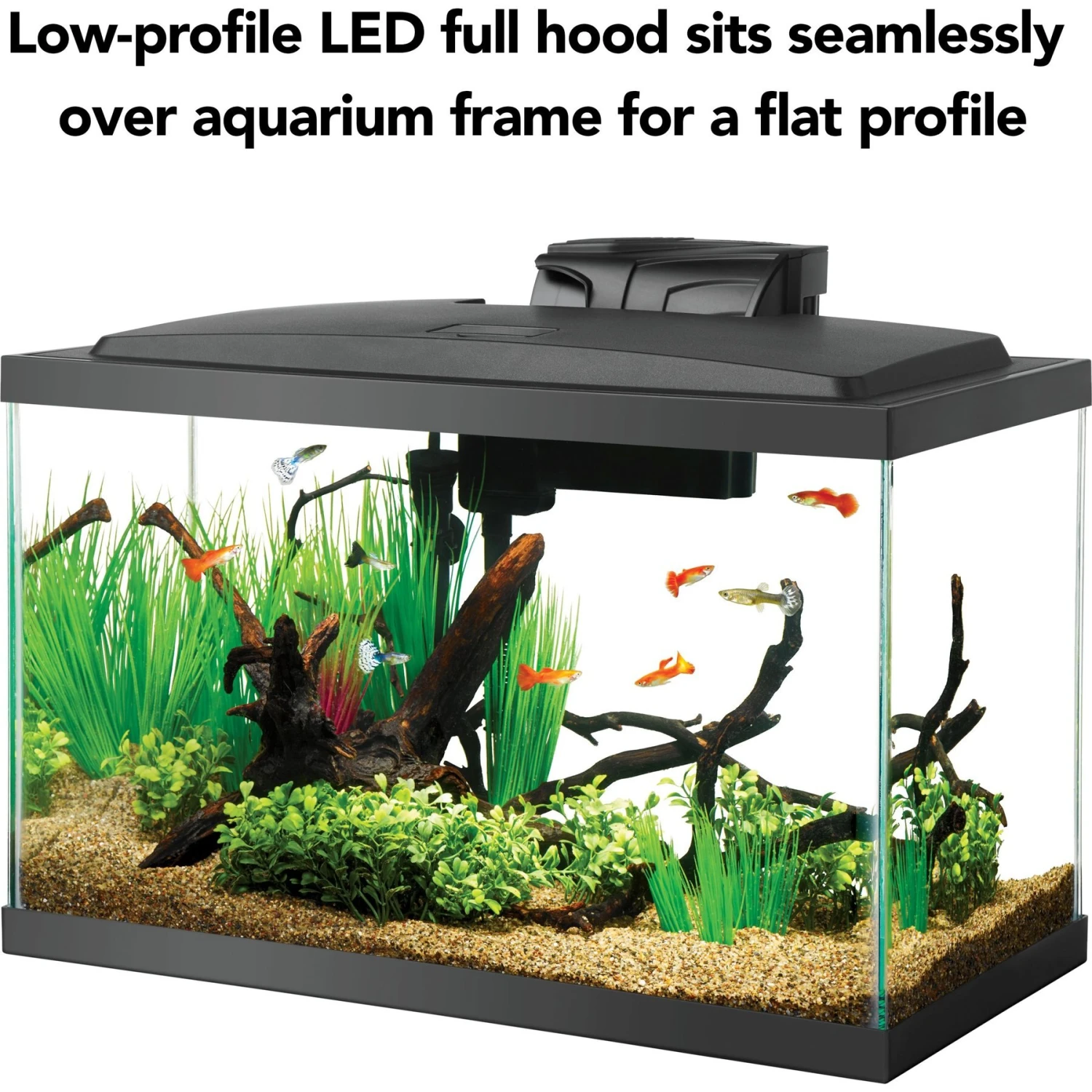 Aqueon Forge Metal Aquarium Stand, Black & Brown & Aqueon LED Fish Aquarium Starter Kit, 10-gal 11 Aqueon Forge Metal Aquarium Stand, Black & Brown & Aqueon LED Fish Aquarium Starter Kit, 10-gal - Image 9