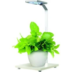 Penn-Plax Eco-Grow Decorative Plant LED Light & Stand Fish Light Fixture -Fish Products 875566 PT3. AC SS1800 V1686336632