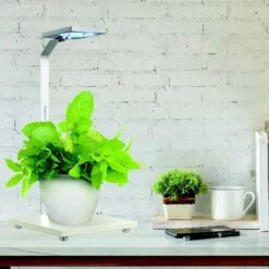 Penn-Plax Eco-Grow Decorative Plant LED Light & Stand Fish Light Fixture -Fish Products 875566 PT4. AC SS1800 V1686336571