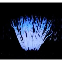 Penn-Plax Aqua-Plants Artificial Soft Silicone Sea Anemone Fish Plant -Fish Products 880846 PT3. AC SS1800 V1688157239