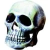 Penn-Plax Deco Replicas Human Skull Fish Ornament, Grey -Fish Products 881030 MAIN. AC SS1800 V1688156394