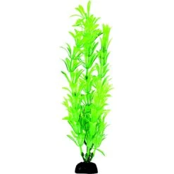 Penn-Plax 12-in Plastic Fish Plant, Green, 6 Count -Fish Products 881486 PT2. AC SS1800 V1688159910