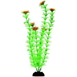 Penn-Plax 12-in Plastic Fish Plant, Green, 6 Count -Fish Products 881486 PT3. AC SS1800 V1688146823