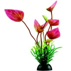 Penn-Plax 4-in Natural Betta Fish Plant, Multicolor, 12 Count -Fish Products 881582 PT3. AC SS1800 V1688157297