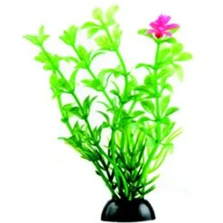 Penn-Plax 4-in Natural Betta Fish Plant, Multicolor, 12 Count -Fish Products 881582 PT5. AC SS1800 V1688148595