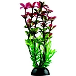 Penn-Plax 4-in Natural Betta Fish Plant, Multicolor, 12 Count -Fish Products 881582 PT6. AC SS1800 V1688154679