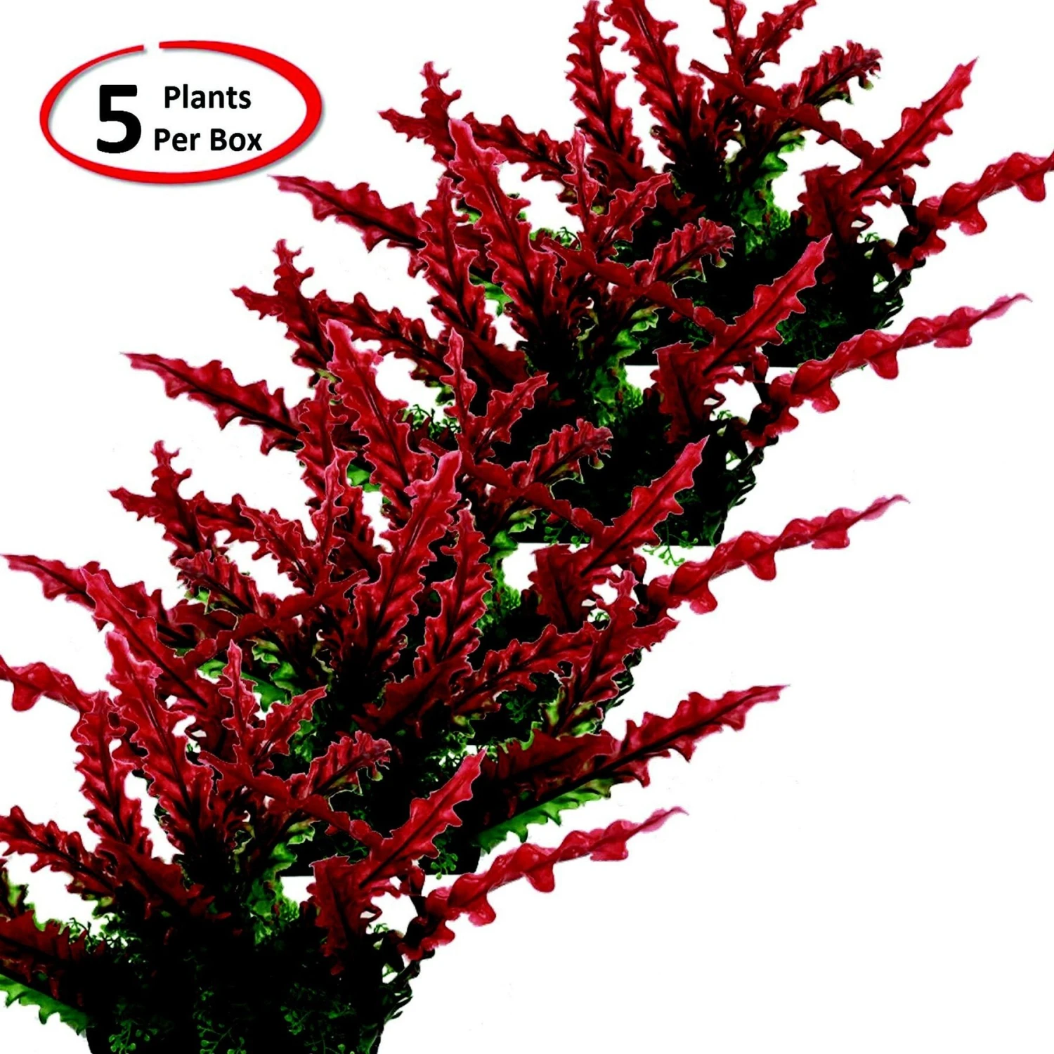 Penn-Plax Aqua-Scaping Red Bunch Fish Plant, Large, Red, 5 Count 4 Penn-Plax Aqua-Scaping Red Bunch Fish Plant, Large, Red, 5 Count - Image 2