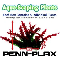 Penn-Plax Aqua-Scaping Red Bunch Fish Plant, Large, Red, 5 Count 9 Penn-Plax Aqua-Scaping Red Bunch Fish Plant, Large, Red, 5 Count -Fish Products 881654 PT2. AC SS1800 V1688147780