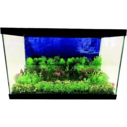 Penn-Plax Aqua-Scaping Red Bunch Fish Plant, Large, Red, 5 Count 10 Penn-Plax Aqua-Scaping Red Bunch Fish Plant, Large, Red, 5 Count -Fish Products 881654 PT3. AC SS1800 V1688392605