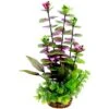 Penn-Plax Style 1 Aqua Fish Plant, X-Large, Multicolor 2 Penn-Plax Style 1 Aqua Fish Plant, X-Large, Multicolor -Fish Products 881718 MAIN. AC SS1800 V1688146822