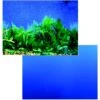 Penn-Plax Double-Sided Aquarium Fish Background, Multicolor 2 Penn-Plax Double-Sided Aquarium Fish Background, Multicolor -Fish Products 881854 MAIN. AC SS1800 V1688155572