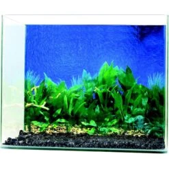 Penn-Plax Double-Sided Aquarium Fish Background, Multicolor -Fish Products 881854 PT5. AC SS1800 V1688156804
