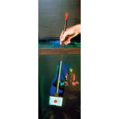 Penn-Plax Wizard Algae Scraper & Planter Tool Fish Clean Remover, Black -Fish Products 882094 PT2. AC SS1800 V1688154070