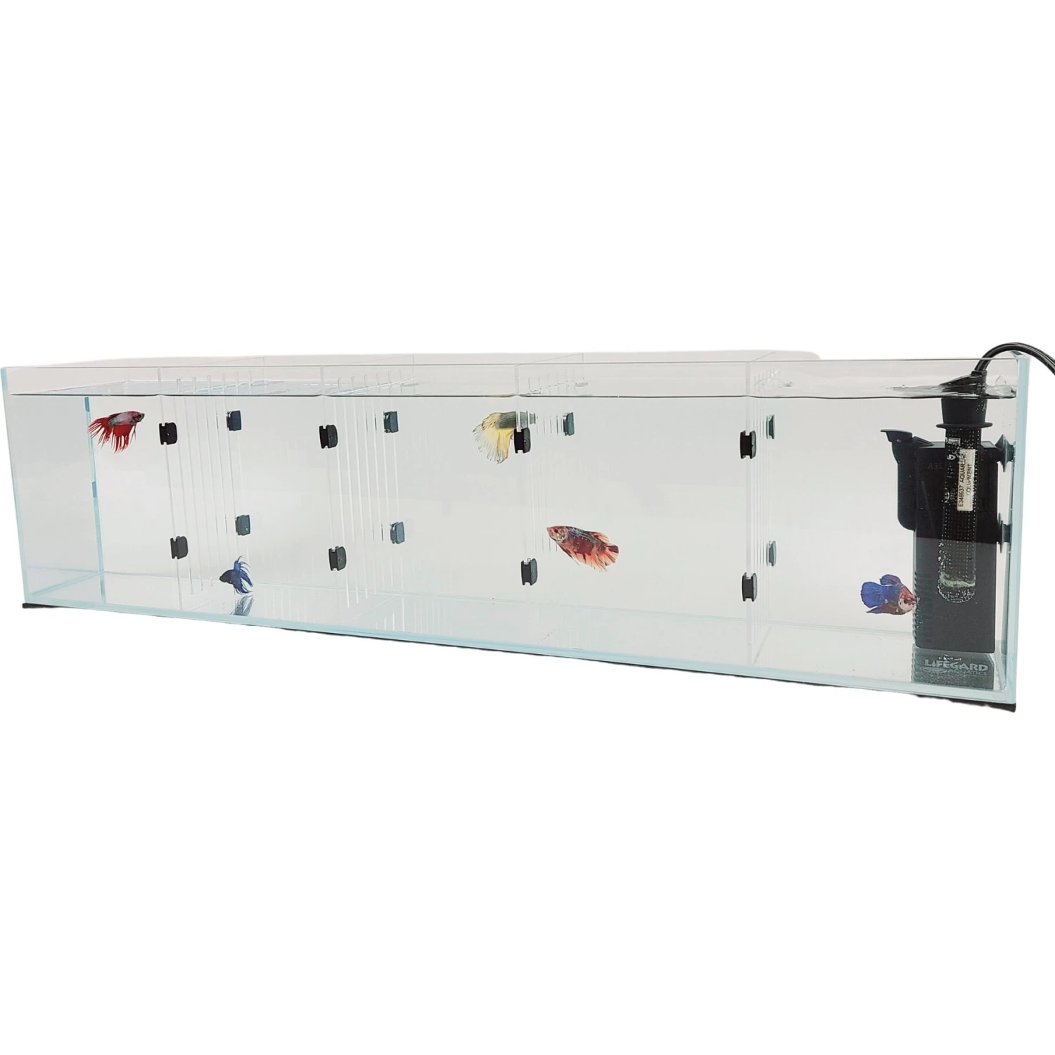 Lifegard Bookshelf Aquarium R460043 & R460083 Dividers, 2-pack, 11-gal 4 Lifegard Bookshelf Aquarium R460043 & R460083 Dividers, 2-pack, 11-gal - Image 2