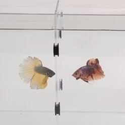 Lifegard Bookshelf Aquarium R460044 & R460084 Acrylic Dividers, Black, 2-pack, 6-gal -Fish Products 890886 PT8. AC SS1800 V1691160833