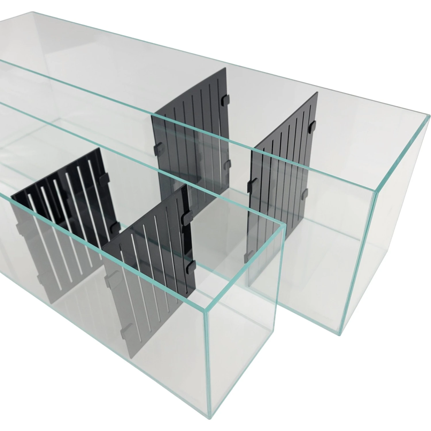 Lifegard Aquarium R460042 & R460082 Acrylic Dividers, Black, 16-gal, 2-pack 3 Lifegard Aquarium R460042 & R460082 Acrylic Dividers, Black, 16-gal, 2-pack