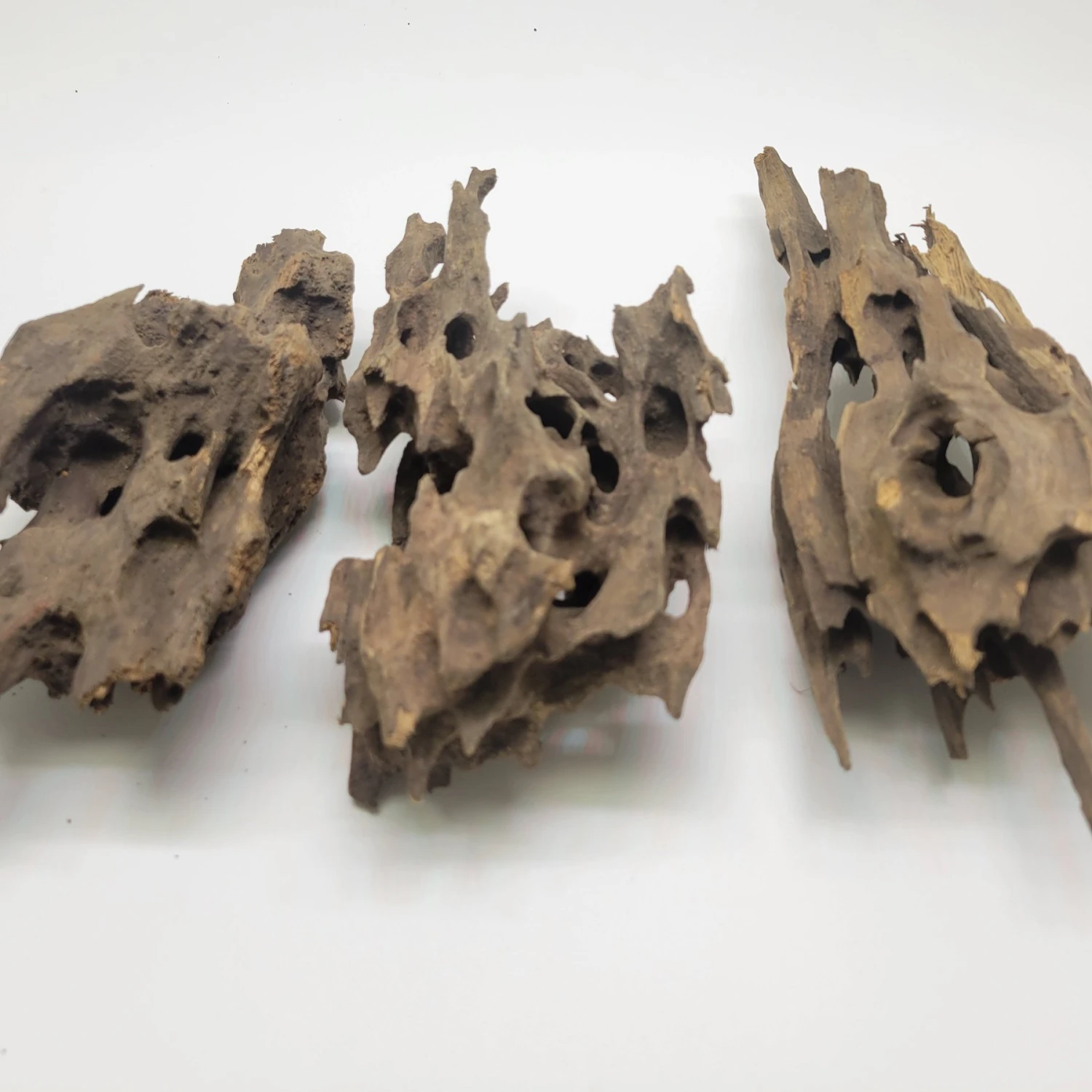 Lifegard Dragon Wood Piece, 15-22-in 5 Lifegard Dragon Wood Piece, 15-22-in - Image 3