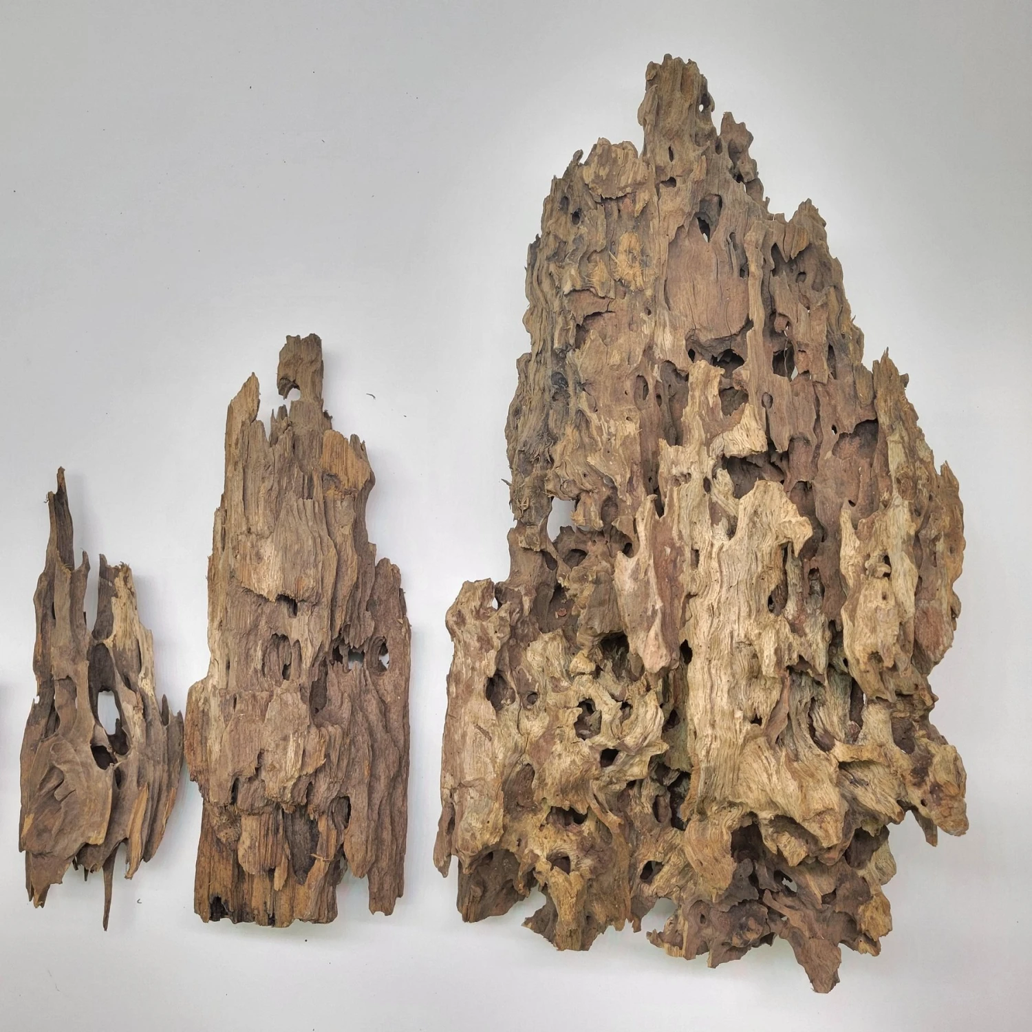 Lifegard Dragon Wood Piece, 15-22-in 7 Lifegard Dragon Wood Piece, 15-22-in - Image 5