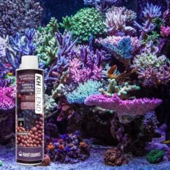 Reeflowers KH Blend A Part Balling Fish Aquarium Water Conditioner 17 Reeflowers KH Blend A Part Balling Fish Aquarium Water Conditioner -Fish Products 892846 PT7. AC SS1800 V1688757252