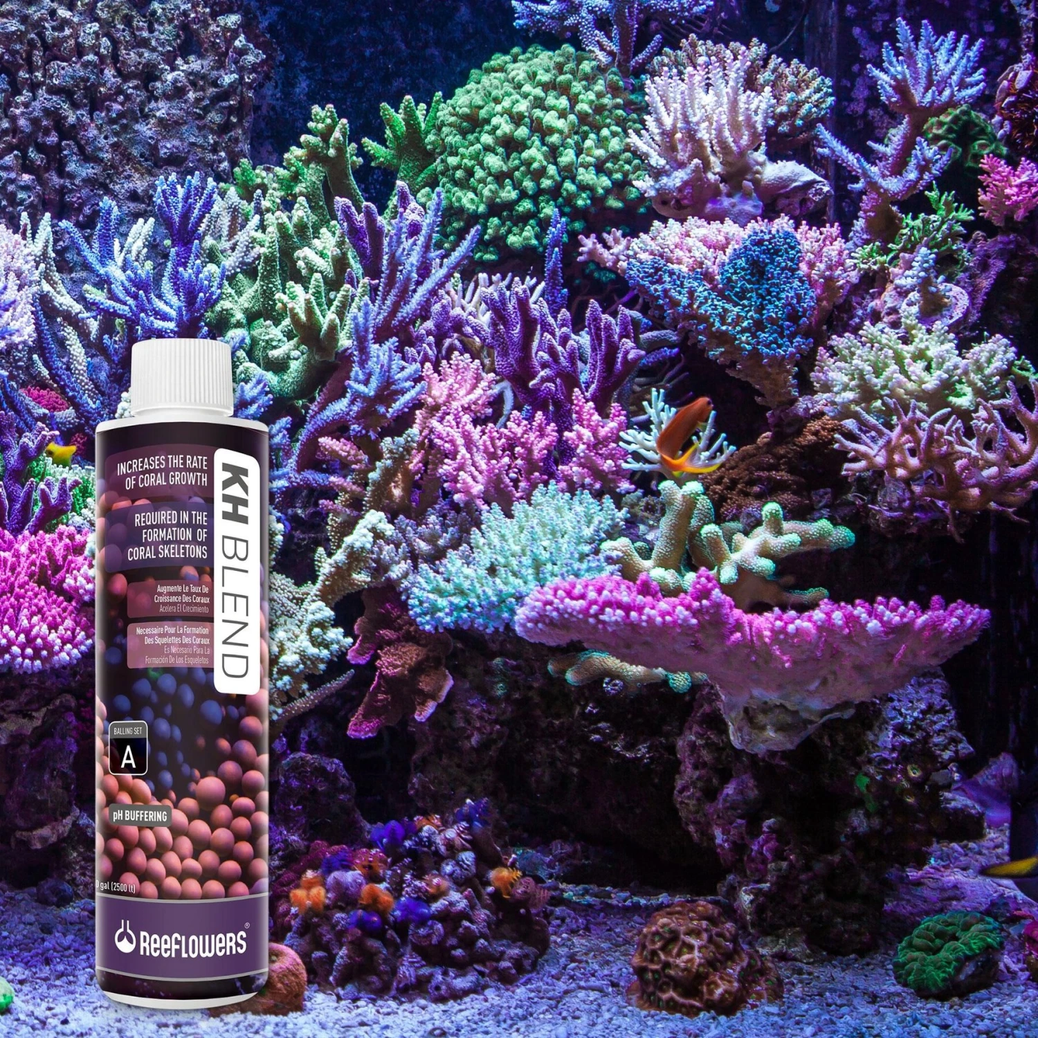 Reeflowers KH Blend A Part Balling Fish Aquarium Water Conditioner 10 Reeflowers KH Blend A Part Balling Fish Aquarium Water Conditioner - Image 8