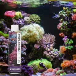 Reeflowers Potassium Blend Fish Aquarium Water Conditioner -Fish Products 892934 PT6. AC SS1800 V1688750728