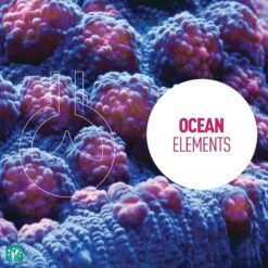 Reeflowers Potassium Iodide Fish Aquarium Water Conditioner 13 Reeflowers Potassium Iodide Fish Aquarium Water Conditioner -Fish Products 892966 PT4. AC SS1800 V1688757309