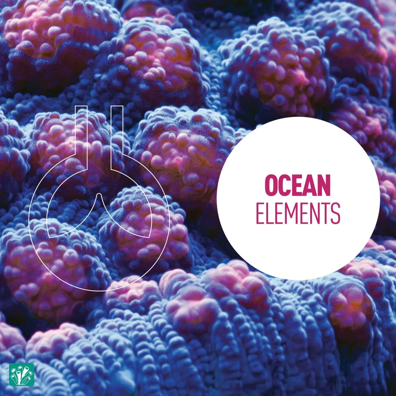 Reeflowers Potassium Iodide Fish Aquarium Water Conditioner 7 Reeflowers Potassium Iodide Fish Aquarium Water Conditioner - Image 5