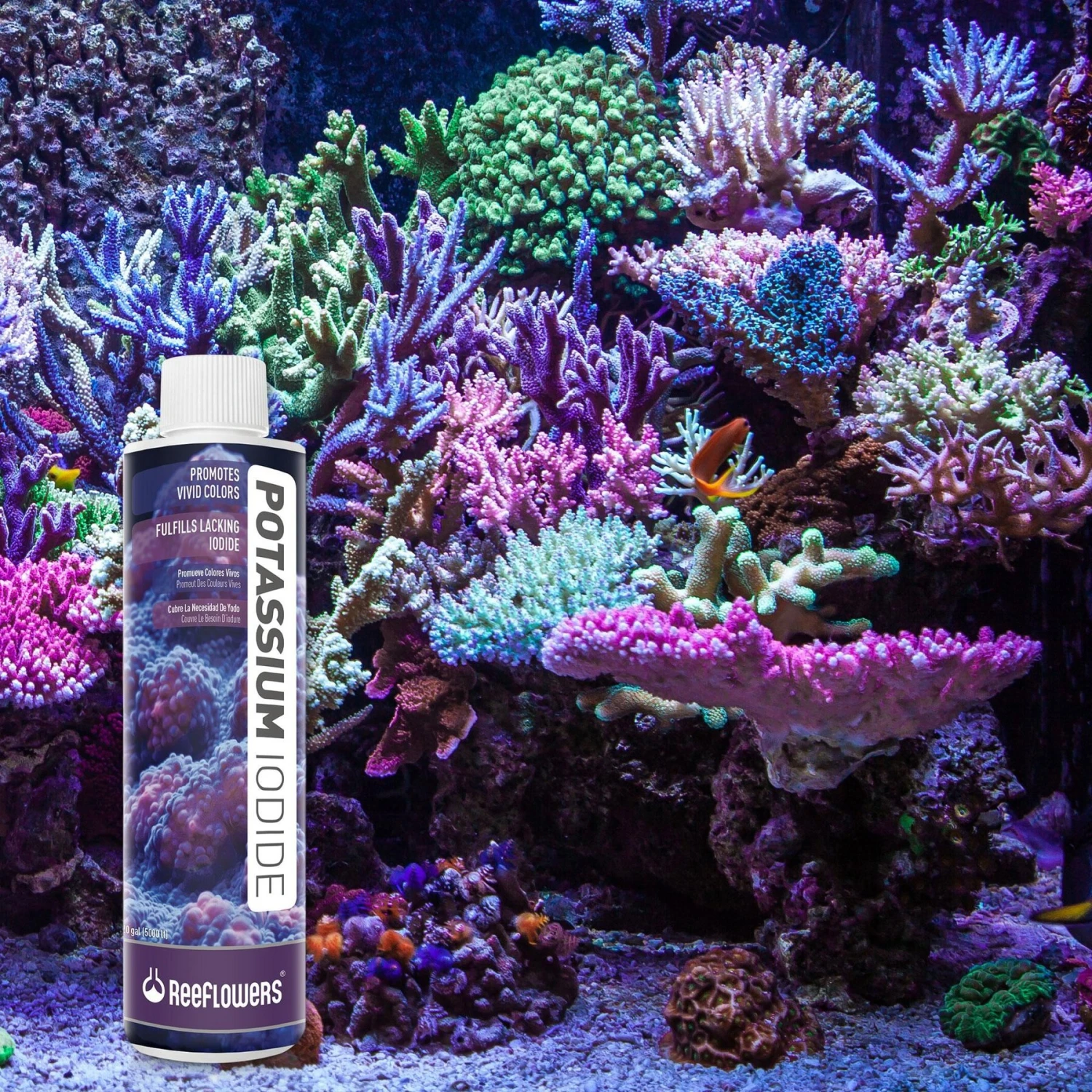 Reeflowers Potassium Iodide Fish Aquarium Water Conditioner 9 Reeflowers Potassium Iodide Fish Aquarium Water Conditioner - Image 7
