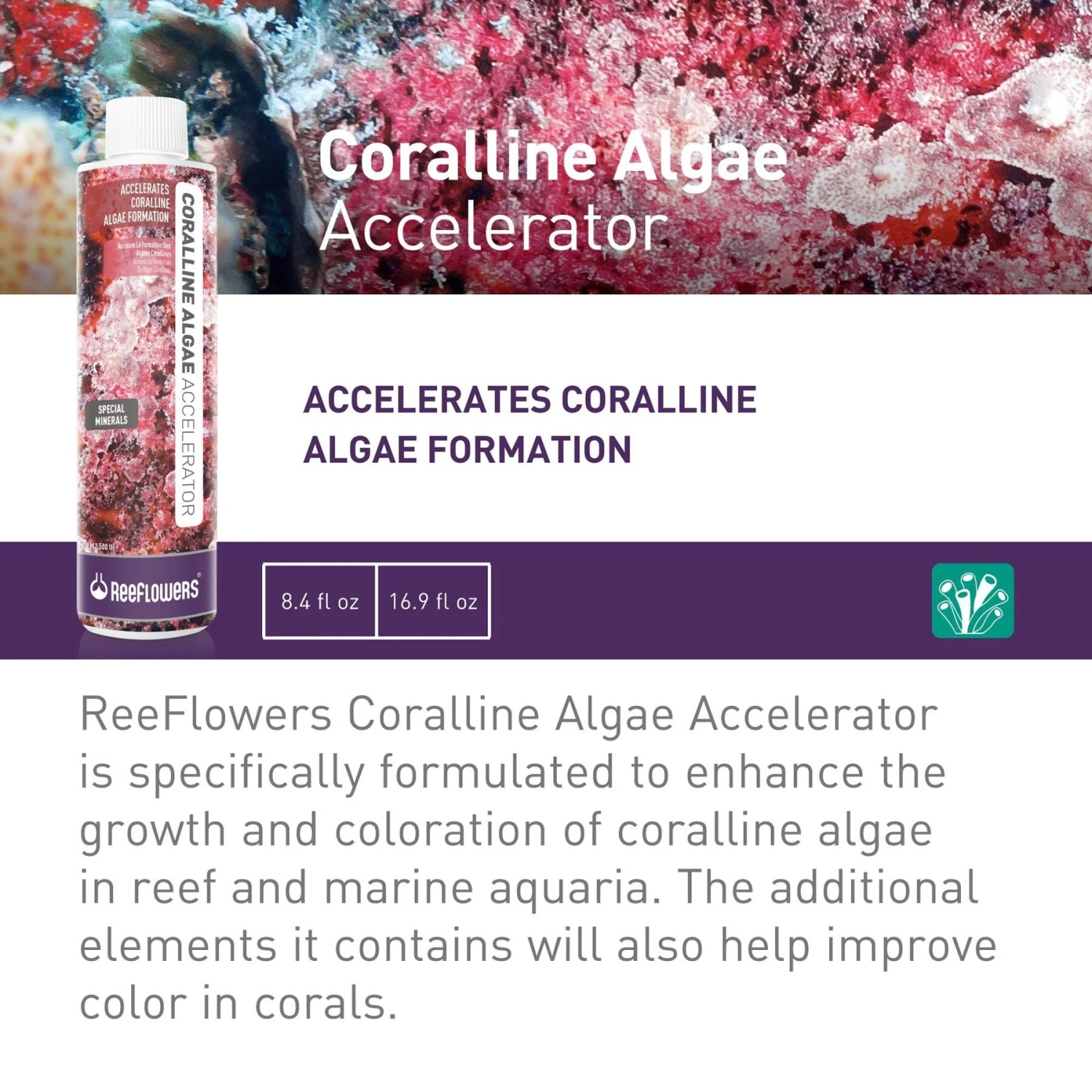 Reeflowers Coralline Algae Accelerator Fish Aquarium Water Conditioner 4 Reeflowers Coralline Algae Accelerator Fish Aquarium Water Conditioner - Image 2