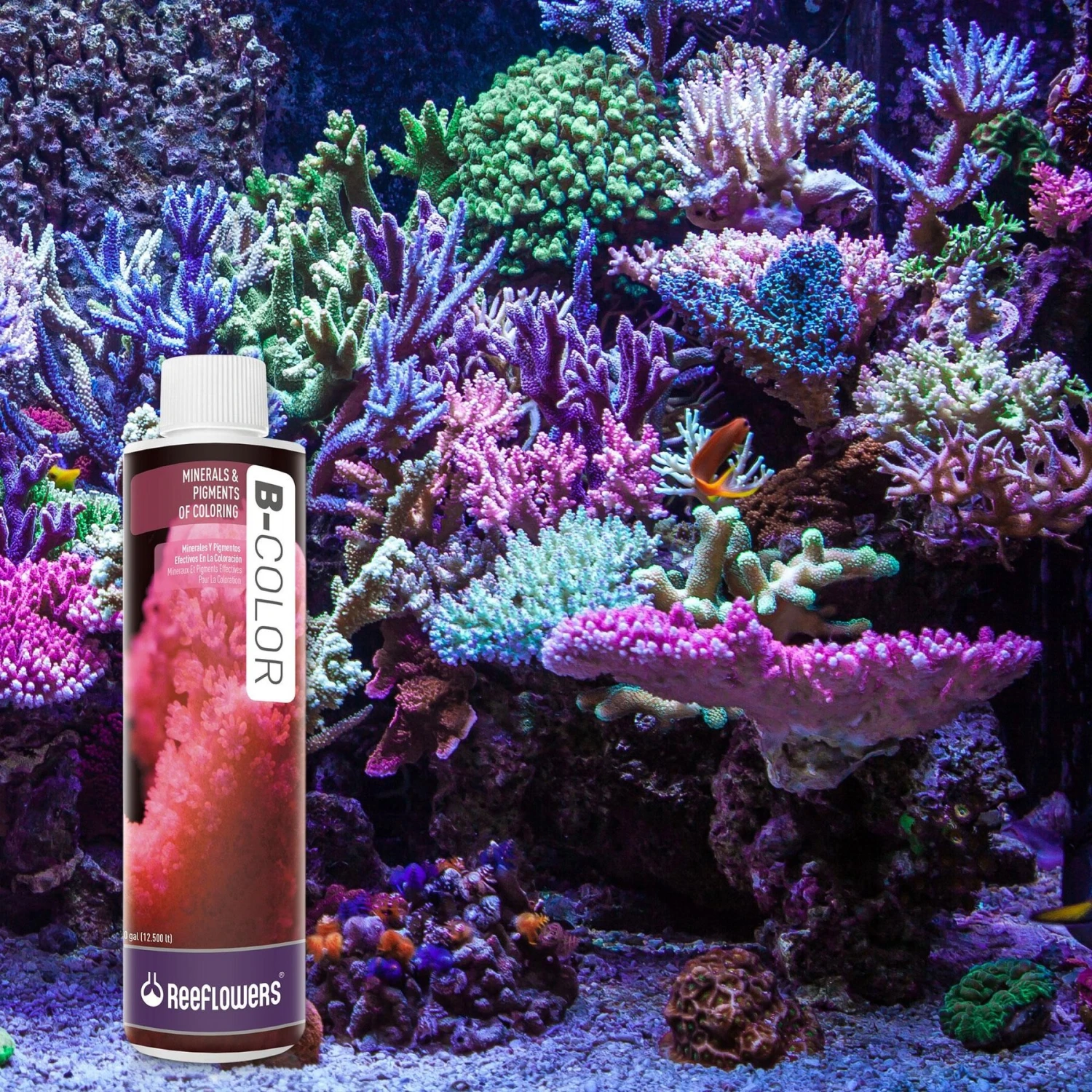 Reeflowers B-Color Fish Aquarium Water Conditioner, 8.5-oz Bottle 9 Reeflowers B-Color Fish Aquarium Water Conditioner, 8.5-oz Bottle - Image 7