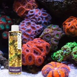 Reeflowers F-Color Fish Aquarium Water Conditioner, 8.5-oz Bottle -Fish Products 893086 PT6. AC SS1800 V1688757257