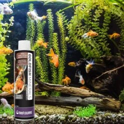 Reeflowers Goldfish Fish Aquarium Water Conditioner 13 Reeflowers Goldfish Fish Aquarium Water Conditioner -Fish Products 893158 PT6. AC SS1800 V1688750661