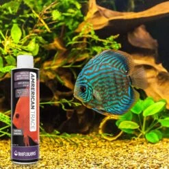 Reeflowers American Trace Fish Aquarium Water Conditioner -Fish Products 893206 PT6. AC SS1800 V1688757250