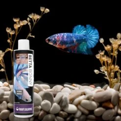 Reeflowers Betta Bonny Fish Aquarium Water Conditioner, 2.9-oz Bottle 15 Reeflowers Betta Bonny Fish Aquarium Water Conditioner, 2.9-oz Bottle -Fish Products 893230 PT6. AC SS1800 V1688750670