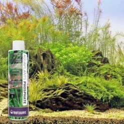 Reeflowers Aqua Plants Phosphate Balling Set II Fish Aquarium Water Conditioner -Fish Products 893326 PT7. AC SS1800 V1688750668