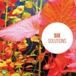 Reeflowers Aqua Plants Ferrous Balling Set V Fish Aquarium Water Conditioner 14 Reeflowers Aqua Plants Ferrous Balling Set V Fish Aquarium Water Conditioner -Fish Products 893406 PT4. AC SS1800 V1688756064