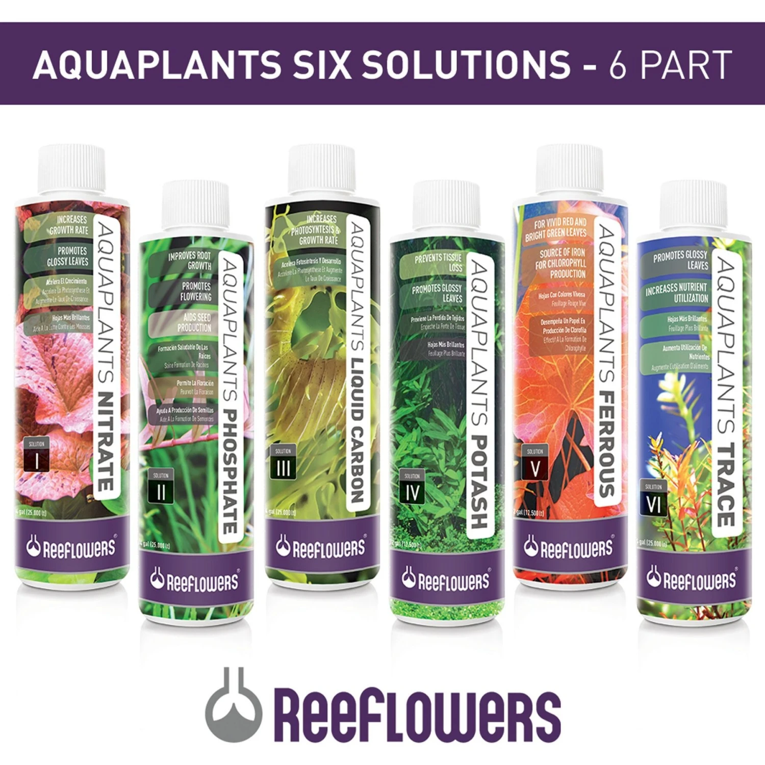 Reeflowers Aqua Plants Ferrous Balling Set V Fish Aquarium Water Conditioner 9 Reeflowers Aqua Plants Ferrous Balling Set V Fish Aquarium Water Conditioner - Image 7