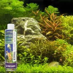 Reeflowers Aqua Plants Trace Balling Set VI Fish Aquarium Water Conditioner -Fish Products 893438 PT7. AC SS1800 V1688749099