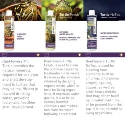 Reeflowers Turtle NoTox Effective Fish Aquarium Water Conditioner, 2.9-oz Bottle 14 Reeflowers Turtle NoTox Effective Fish Aquarium Water Conditioner, 2.9-oz Bottle -Fish Products 893614 PT5. AC SS1800 V1688756128
