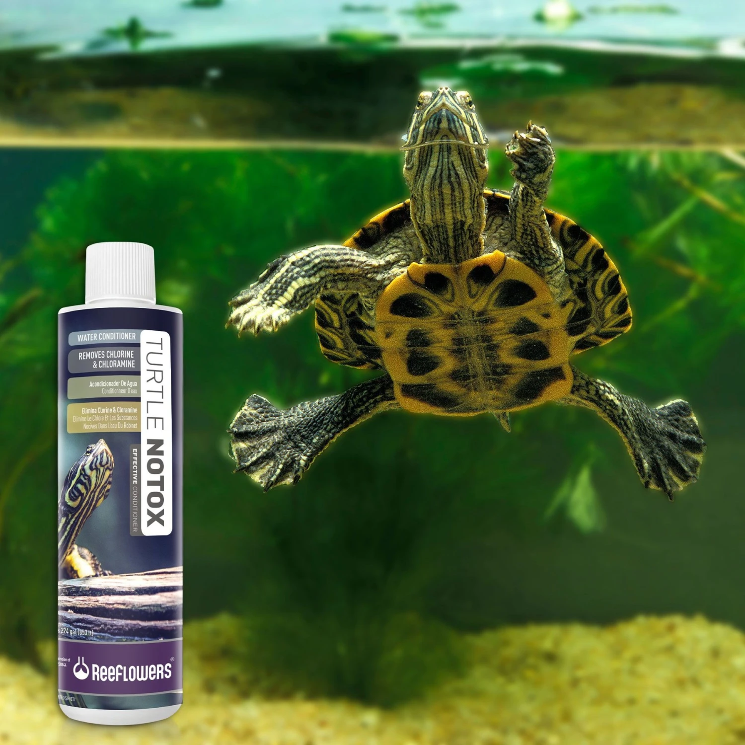 Reeflowers Turtle NoTox Effective Fish Aquarium Water Conditioner, 2.9-oz Bottle 9 Reeflowers Turtle NoTox Effective Fish Aquarium Water Conditioner, 2.9-oz Bottle - Image 7