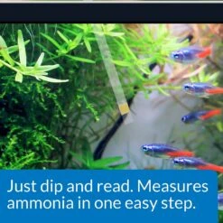 API Ammonia NH3/NH4 Freshwater & Saltwater Aquarium Test Strips -Fish Products 94269 PT3. AC SS1800 V1570548770
