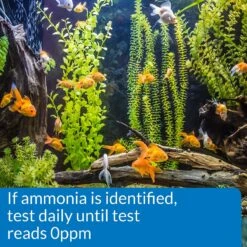 API Ammonia NH3/NH4 Freshwater & Saltwater Aquarium Test Strips -Fish Products 94269 PT4. AC SS1800 V1570548746